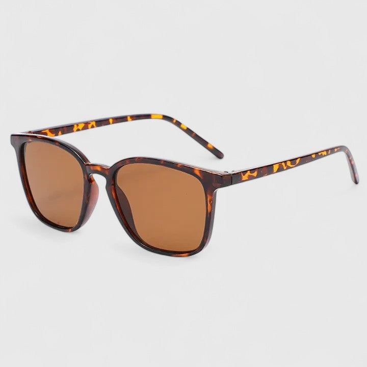 Auregonta | Gafas Noche de Sigüenza